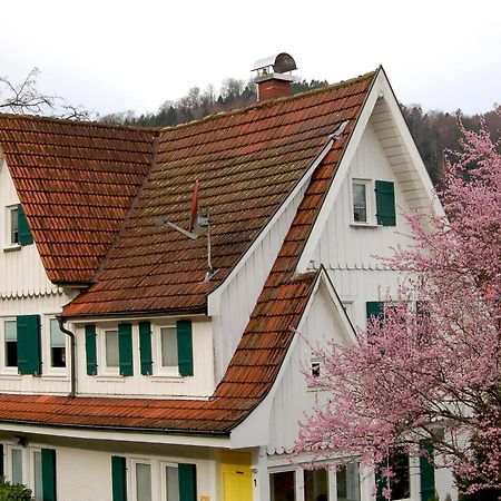 Villa Sophie 巴特黑雷纳尔布 外观 照片