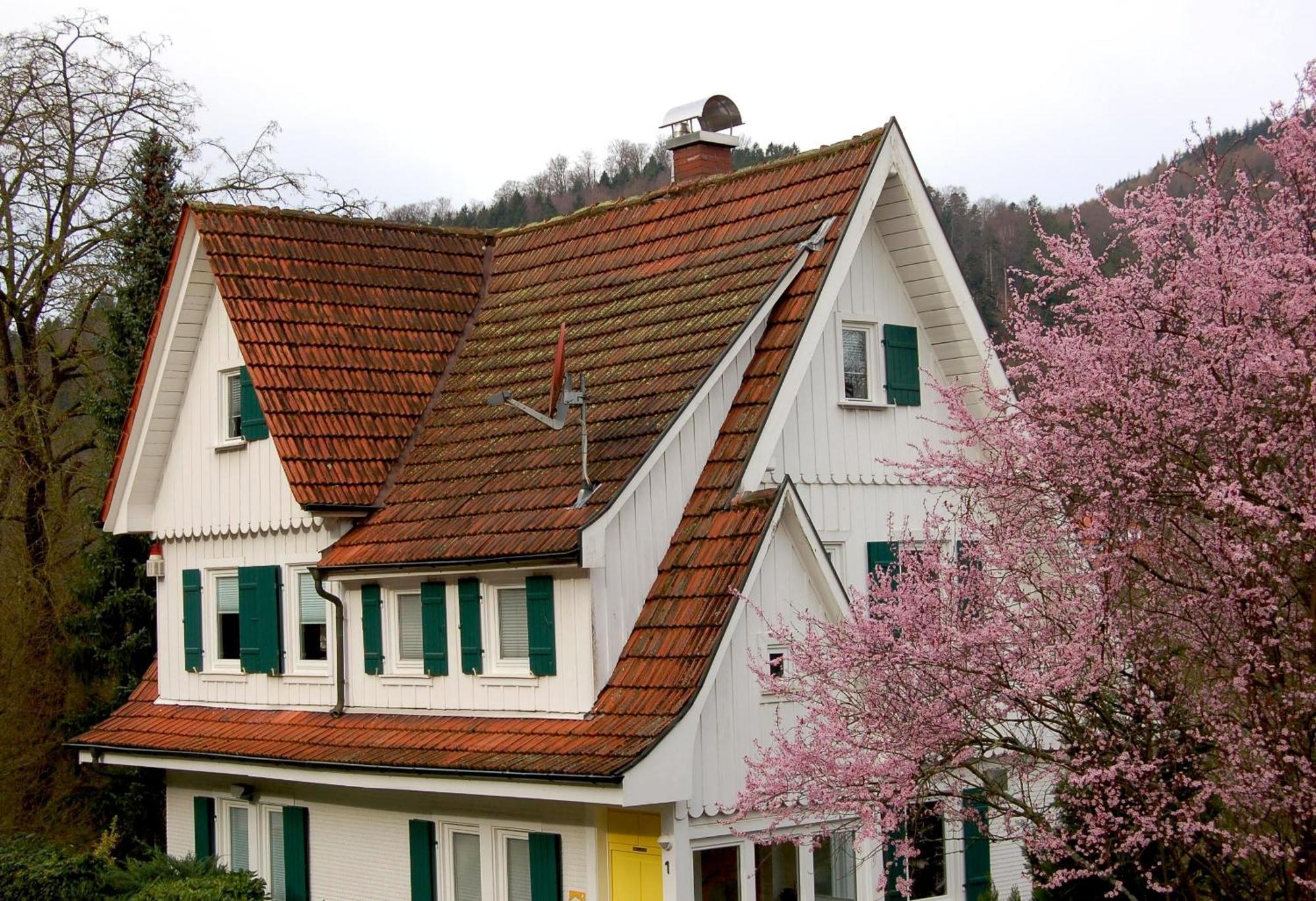 Villa Sophie 巴特黑雷纳尔布 外观 照片